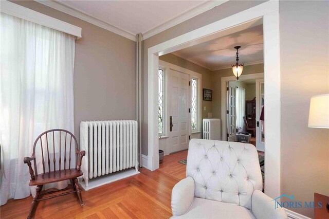 202 Hancock St, Findlay, OH 45840 - living area featuring radiator, crown molding, and light wood-style floors