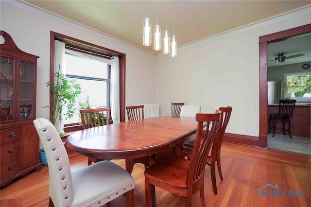 202 Hancock St, Findlay, OH 45840 - dining space with ornamental molding, light wood-style floors, and baseboards
