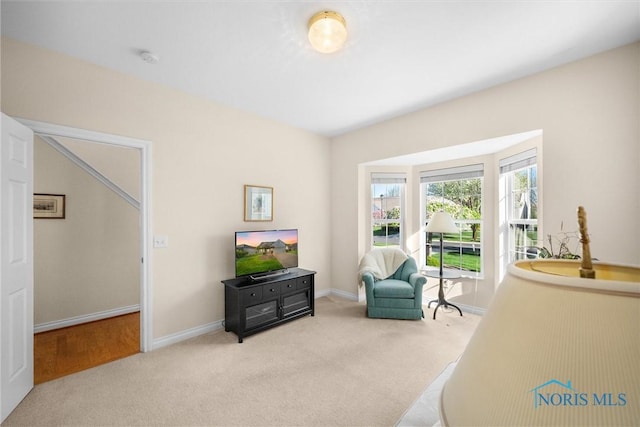 sitting room featuring baseboards and carpet flooring