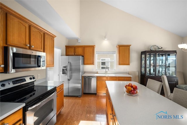 kitchen featuring light countertops, appliances with stainless steel finishes, a sink, and vaulted ceiling