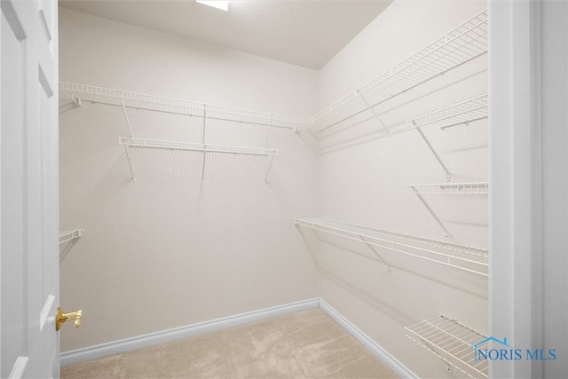 spacious closet with carpet