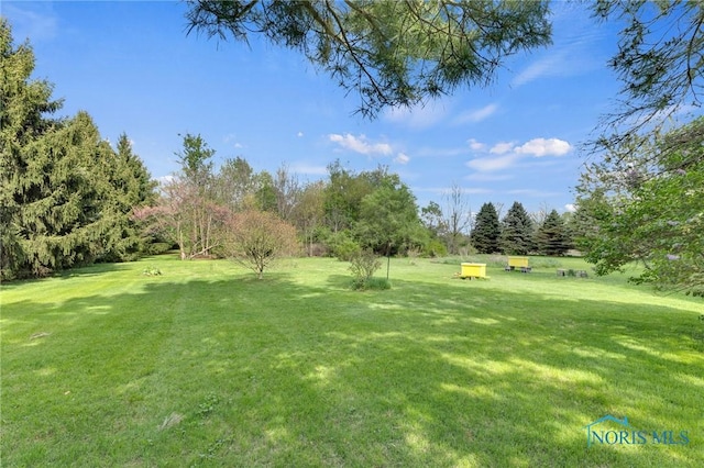 888 Columbus Ave, Fostoria, OH 44830 - view of yard