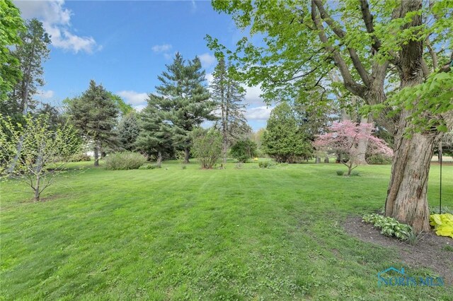 888 Columbus Ave, Fostoria, OH 44830 - view of yard