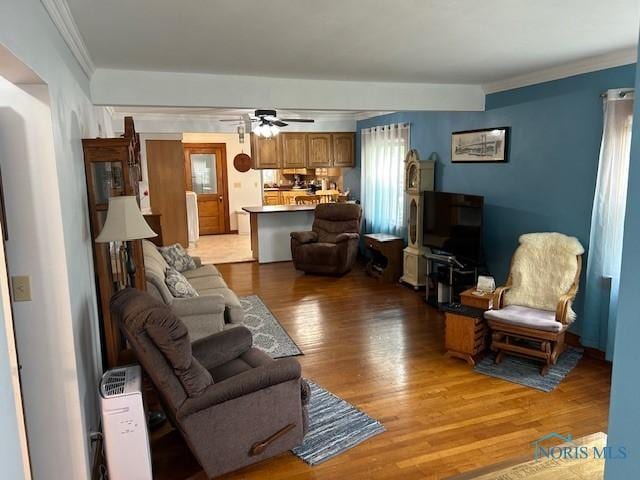 163 E Hull St, Edgerton, OH 43517 - living room with a ceiling fan, light wood-style flooring, and crown molding