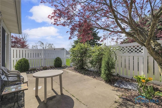 view of patio / terrace with a fenced backyard
