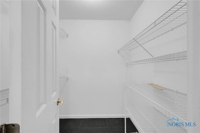 view of walk in closet