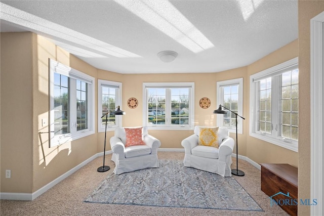 sitting room with baseboards, carpet, and a textured ceiling