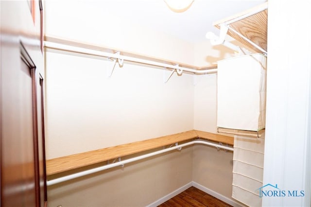 spacious closet with wood finished floors