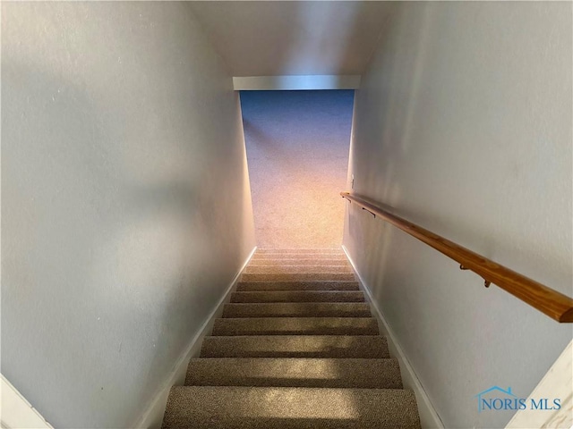 stairs with carpet flooring