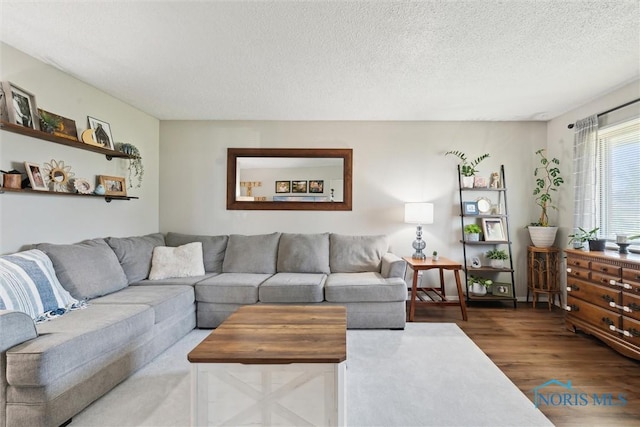 2123 Keen Ave, Toledo, OH 43611 - living area with a textured ceiling and wood finished floors