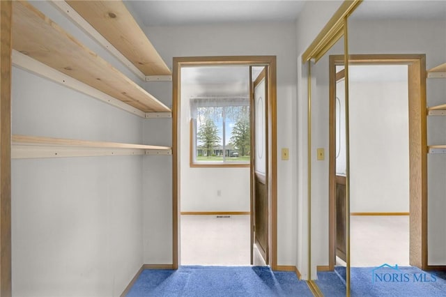 13921 Defiance Pike, Rudolph, OH 43462 - walk in closet with carpet