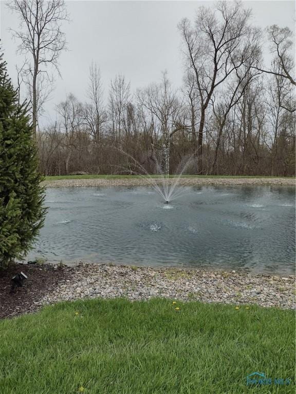water view