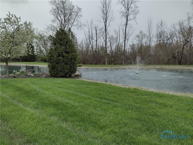 view of yard with a water view