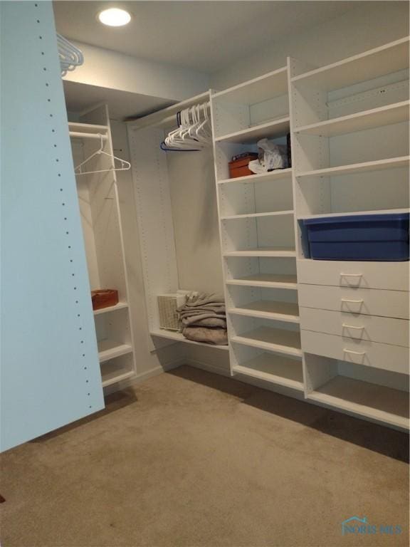 spacious closet featuring carpet
