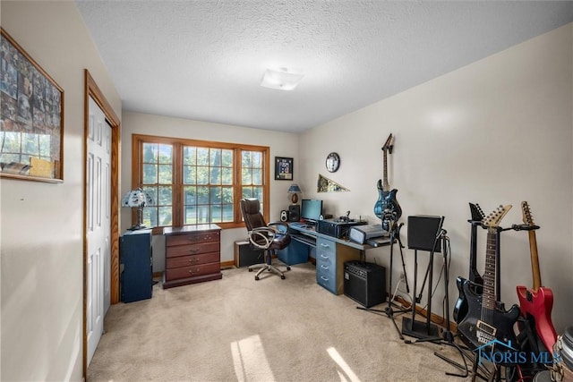 2515 S Berkey Southern Rd, Swanton, OH 43558 - office space with light carpet, a textured ceiling, and baseboards