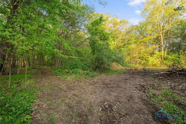 2515 S Berkey Southern Rd, Swanton, OH 43558 - view of wooded area