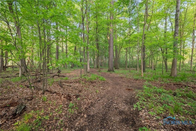 2515 S Berkey Southern Rd, Swanton, OH 43558 - view of wooded area