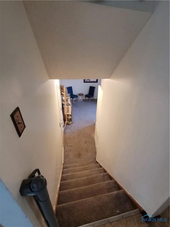 633 Southfield Dr, Maumee, OH 43537 - stairs featuring carpet floors