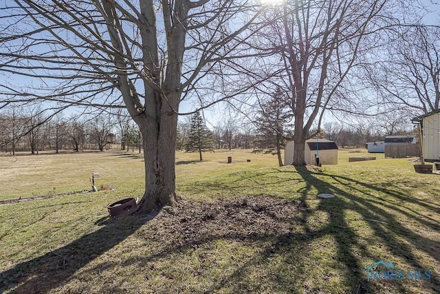 view of yard with a storage shed and an outbuilding