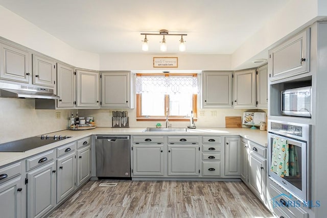 kitchen with light wood-type flooring, appliances with stainless steel finishes, under cabinet range hood, and gray cabinetry