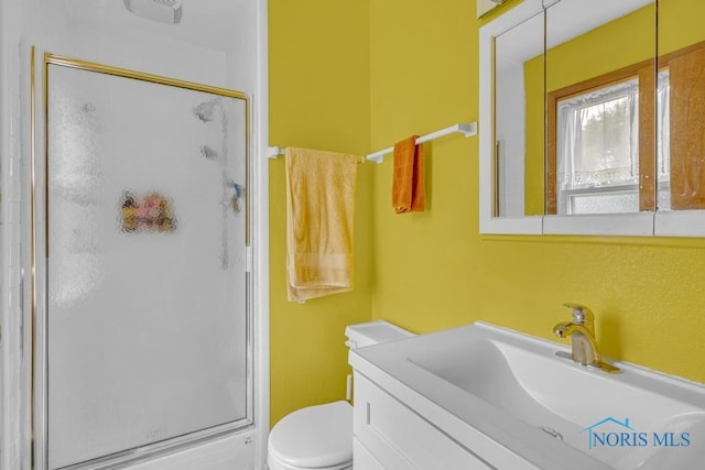3739 Wild Pheasant Ln, Sylvania, OH 43560 - bathroom featuring a shower stall, vanity, and toilet