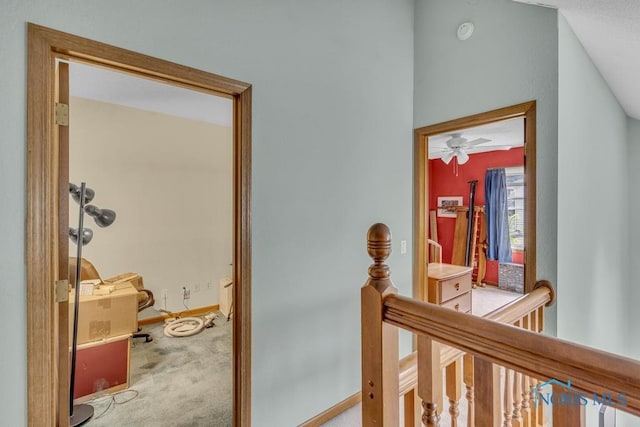 3739 Wild Pheasant Ln, Sylvania, OH 43560 - hall with carpet flooring and baseboards
