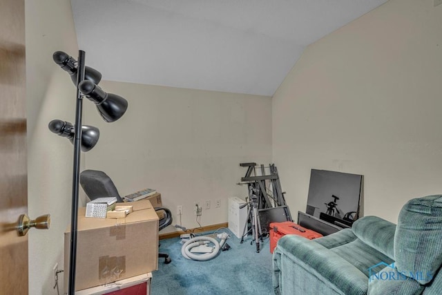 3739 Wild Pheasant Ln, Sylvania, OH 43560 - workout room featuring carpet flooring and vaulted ceiling