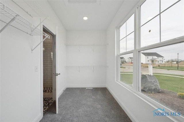 spacious closet with carpet flooring