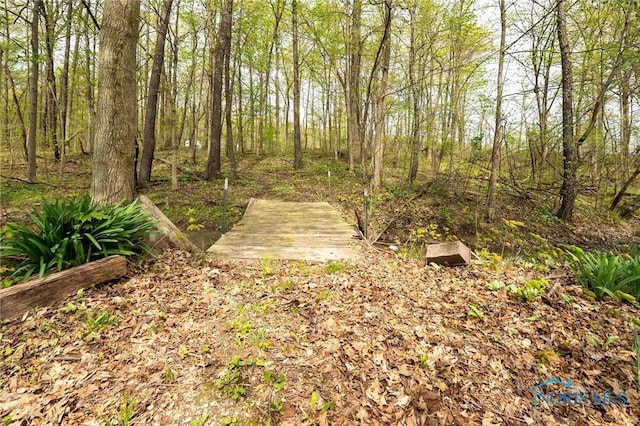 1440 N State Route 19, Republic, OH 44867 - view of road featuring a forest view
