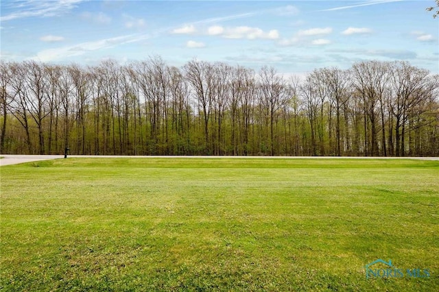 1440 N State Route 19, Republic, OH 44867 - view of yard