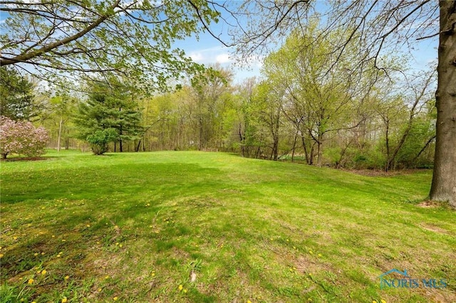 1440 N State Route 19, Republic, OH 44867 - view of yard