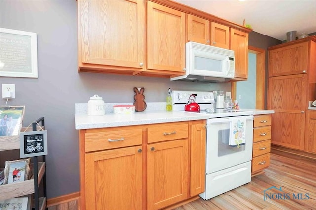 2028 Lakeland Dr, Findlay, OH 45840 - kitchen featuring light wood-type flooring, light countertops, and white appliances