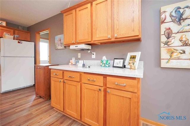 2028 Lakeland Dr, Findlay, OH 45840 - kitchen with freestanding refrigerator, light wood-style flooring, and light countertops