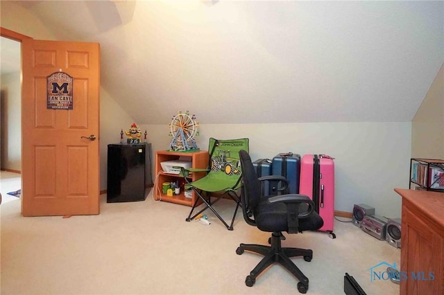 2028 Lakeland Dr, Findlay, OH 45840 - playroom with carpet and vaulted ceiling
