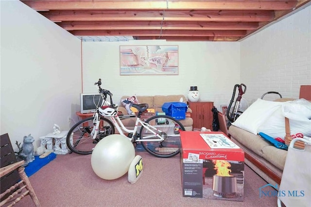 interior space featuring carpet floors