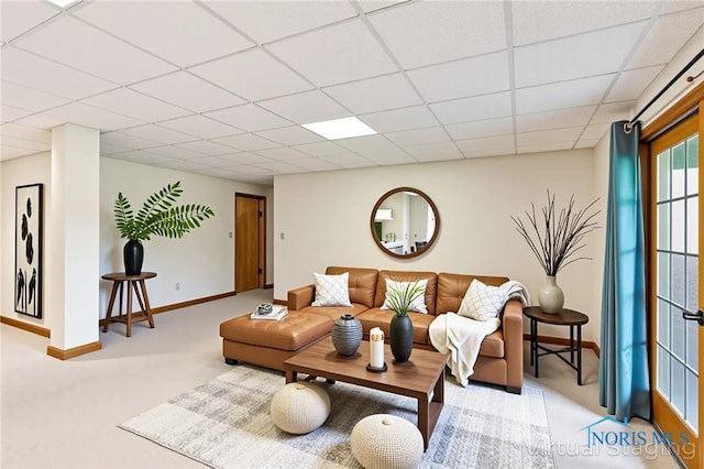 carpeted living room featuring baseboards and a drop ceiling