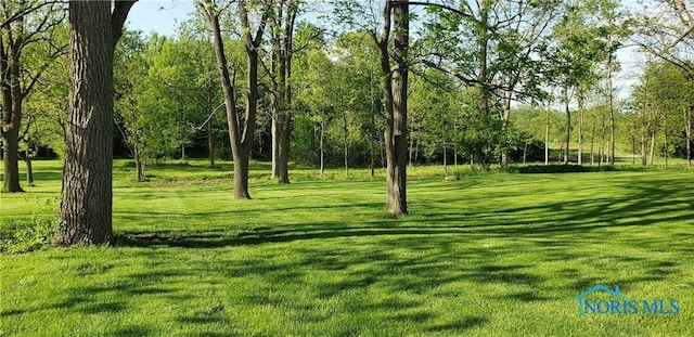602 W Main St, Fayette, OH 43521 - view of community with a yard