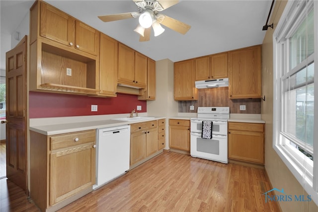 1137 Rosedale St, Maumee, OH 43537 - kitchen featuring white appliances, under cabinet range hood, light wood-style floors, and a sink