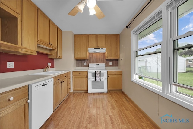 1137 Rosedale St, Maumee, OH 43537 - kitchen with white appliances, a sink, under cabinet range hood, light wood-style floors, and plenty of natural light