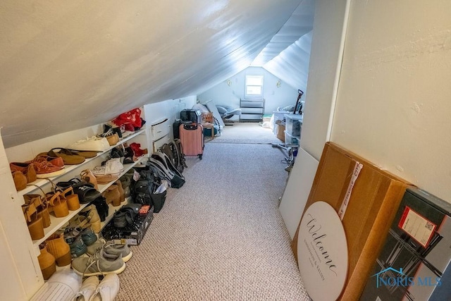 additional living space featuring carpet and lofted ceiling