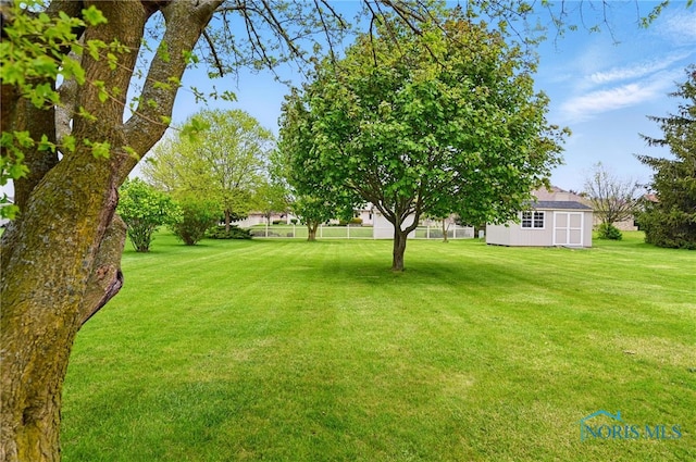 view of yard with a storage shed and an outdoor structure