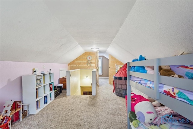 22020 Switzer Rd, Defiance, OH 43512 - playroom with a textured ceiling, carpet flooring, and vaulted ceiling