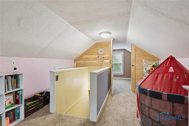 22020 Switzer Rd, Defiance, OH 43512 - additional living space with a textured ceiling, carpet flooring, and vaulted ceiling