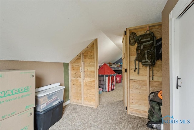 22020 Switzer Rd, Defiance, OH 43512 - bonus room with carpet and vaulted ceiling