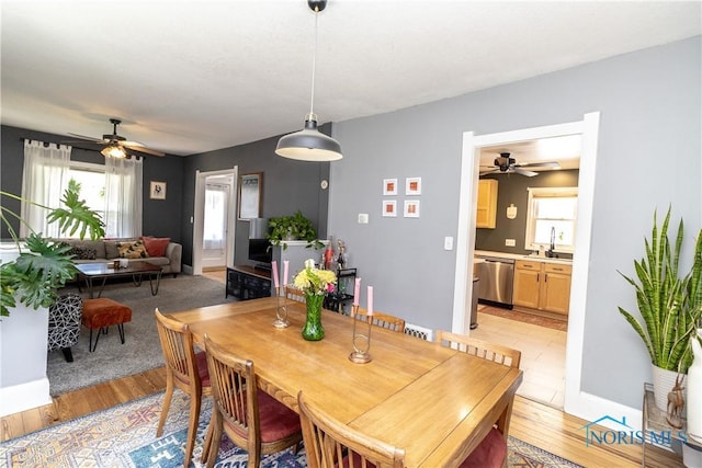 1407 Kenyon Dr, Toledo, OH 43614 - dining room with ceiling fan, healthy amount of natural light, and light wood finished floors