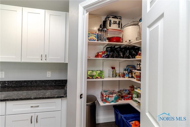 749 Parkside Dr, Wauseon, OH 43567 - view of pantry