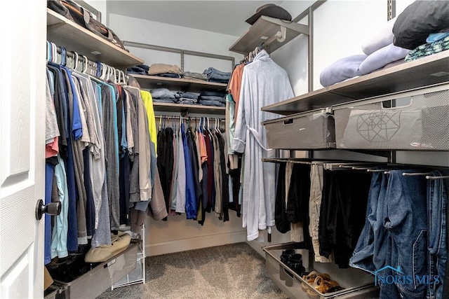 749 Parkside Dr, Wauseon, OH 43567 - spacious closet with carpet floors