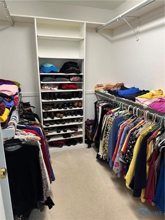 spacious closet with carpet floors