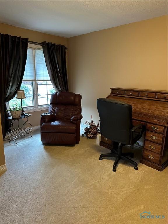 office space with carpet