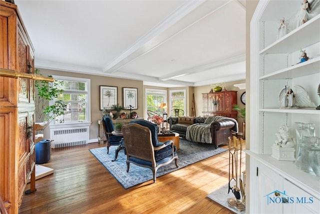 3766 Edgevale Rd, Toledo, OH 43606 - living area with radiator heating unit, plenty of natural light, wood finished floors, ornamental molding, and beam ceiling